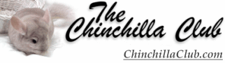 The Chinchilla Club