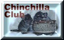 The Chinchilla Club