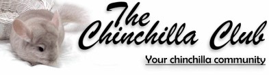 The Chinchilla Club
