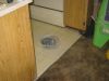 Picture_168.jpg