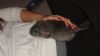 DSC03995.JPG