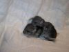 Picture__s_of_chin__s_031.jpg