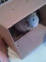 box.jpg