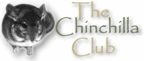 Chinchilla Club Home Page