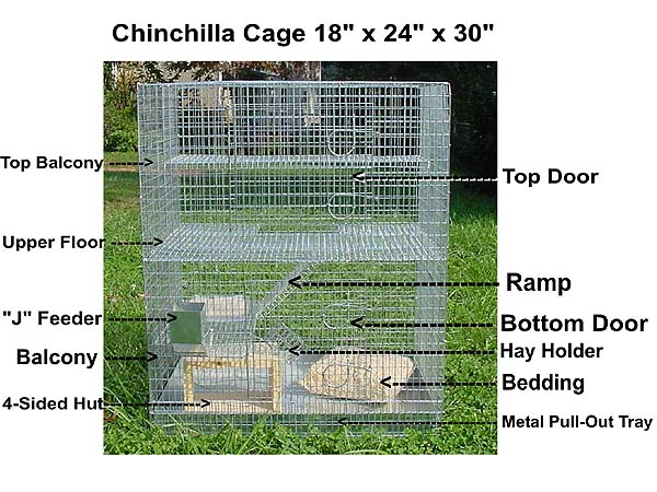 Chinchilla online cage cost